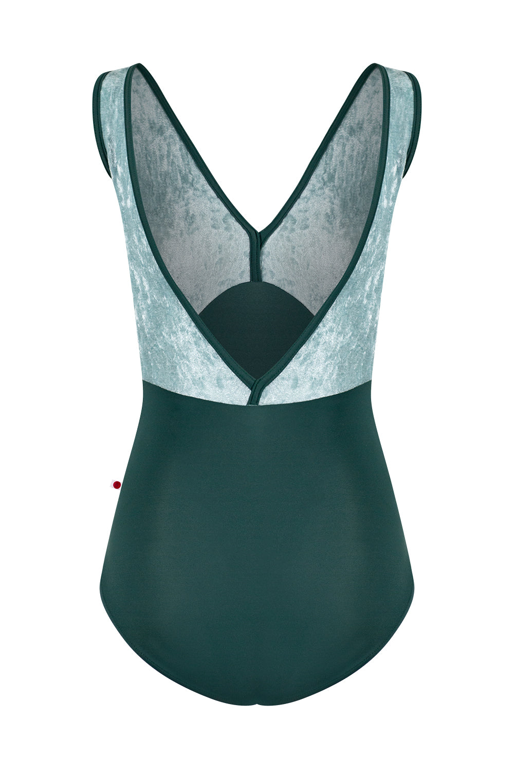 Alicia Kale Leotard