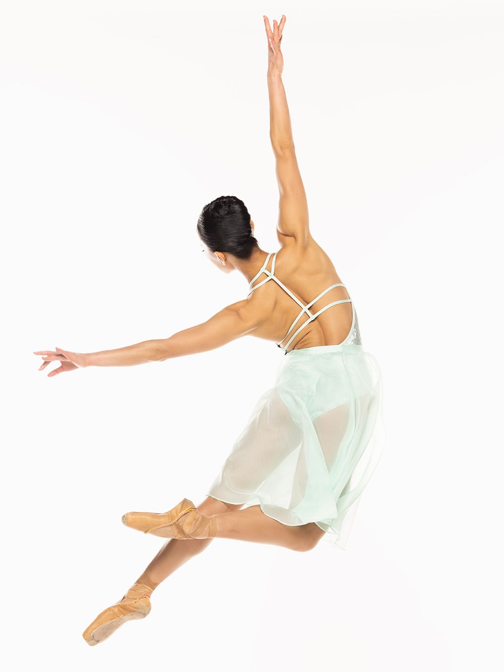 Chiffon Rehearsal Skirt