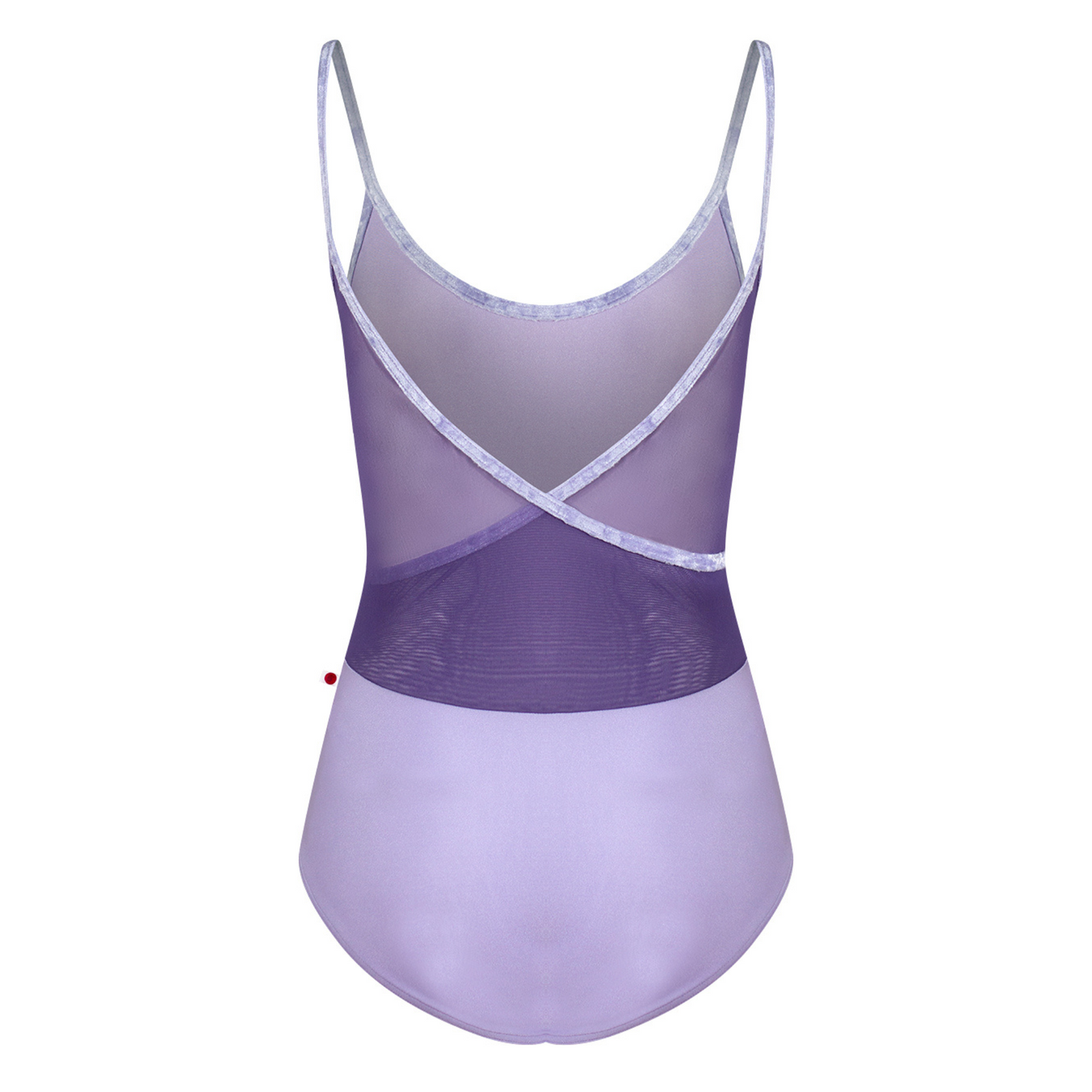 Fiona Mesh Leotard