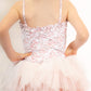 Frou Frou Tutu Dress